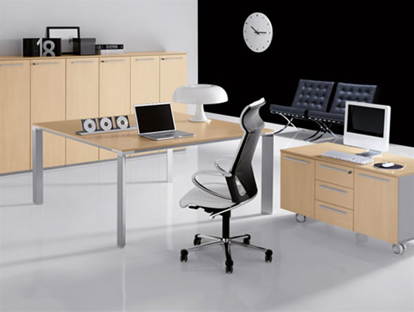 2 Desk Home Office Interior Design View