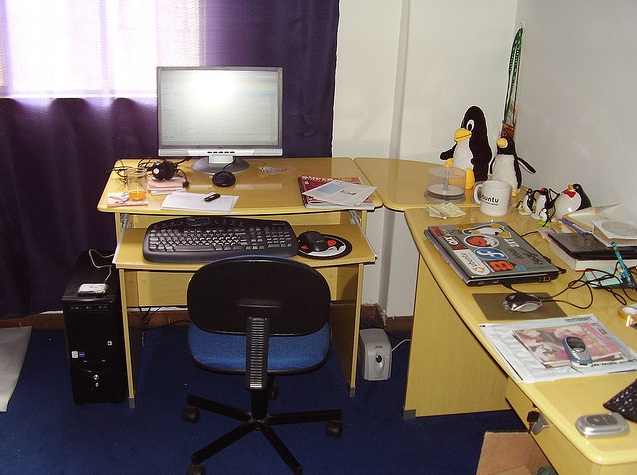 Home Office Interior with a few penguins as decoration accessories