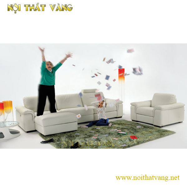 Sofa phòng khách SF1069